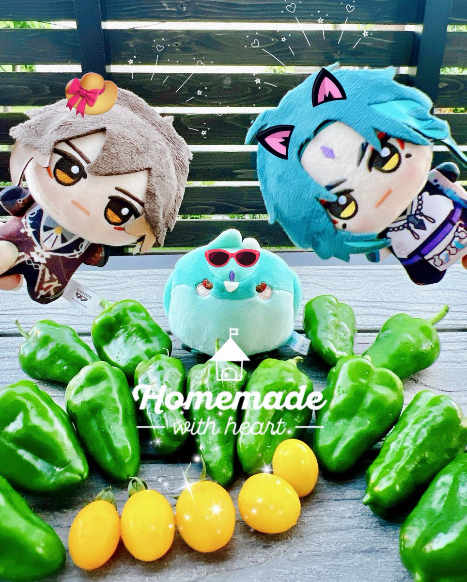 ritsucoon's tweet image. 夏休み前から家庭菜園はじめた我が家^&amp;gt;𐋣&amp;lt;^🌱✨️毎日が収穫祭〜〜〜ッ🫑👹🍅✨️