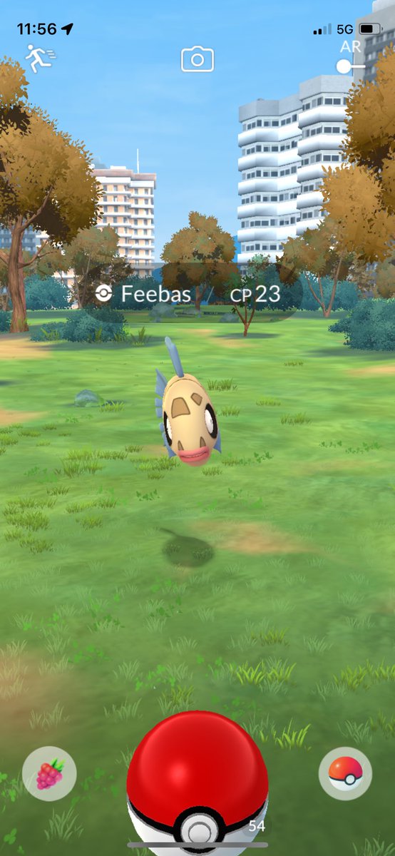 JohnPatrick_101's tweet image. #Feebas  #WaterTypePokemon #PokemonGoAustralia #PokemonGoApp #PokemonGo #Pokemon #CombatPower #FeebasCP23 @PokemonGoNews