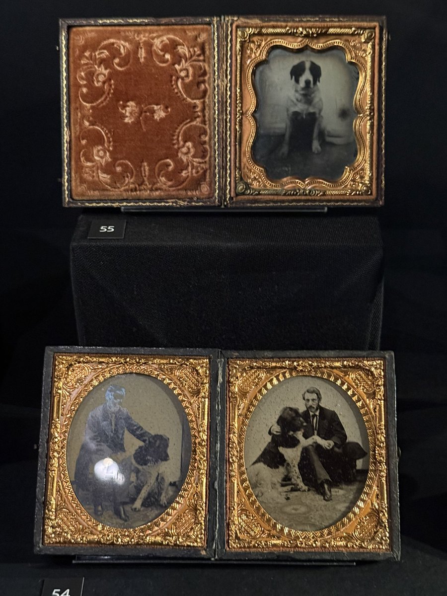 Dr. Beth Dahlstrom tweet media