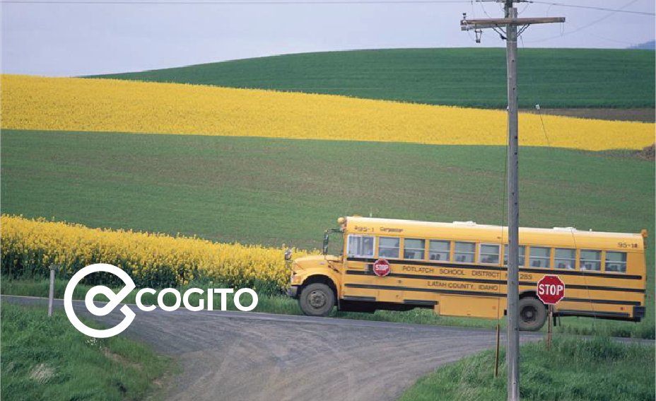 OECD_local's tweet image. 💡Much has been made of the decline of rural areas.
Yet many are finding their footing again by seizing new opportunities arising from the #green and #digital transitions.
How can policy makers help them ride the wave and reinforce resilience?
Blog🔗oecdcogito.blog/2025/06/12/its…
