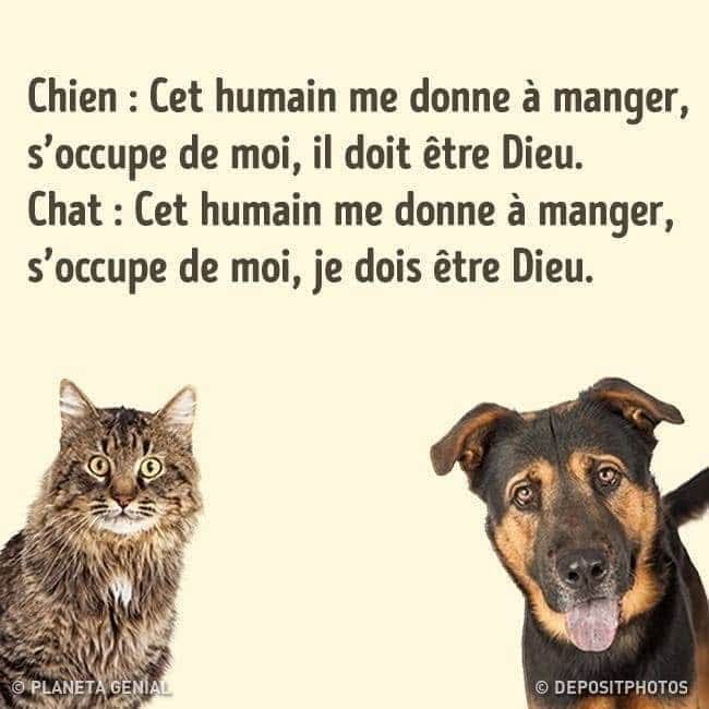 Bonne journée 😘 😽