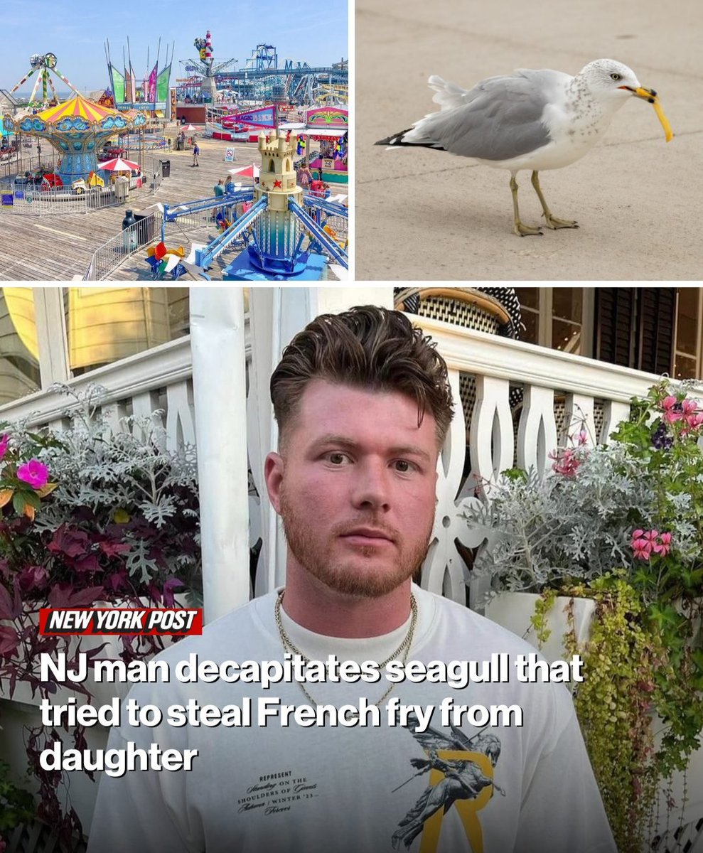 wakeupnj's tweet image. 😳 This is nuts! A New Jersey man who decapitated a seagull that dared to steal a French fry from his daughter has been indicted on animal cruelty charges
Franklin Ziegler and his daughter were on Surfside Pier at Morey’s Piers & Beachfront Waterparks in North Wildwood during…