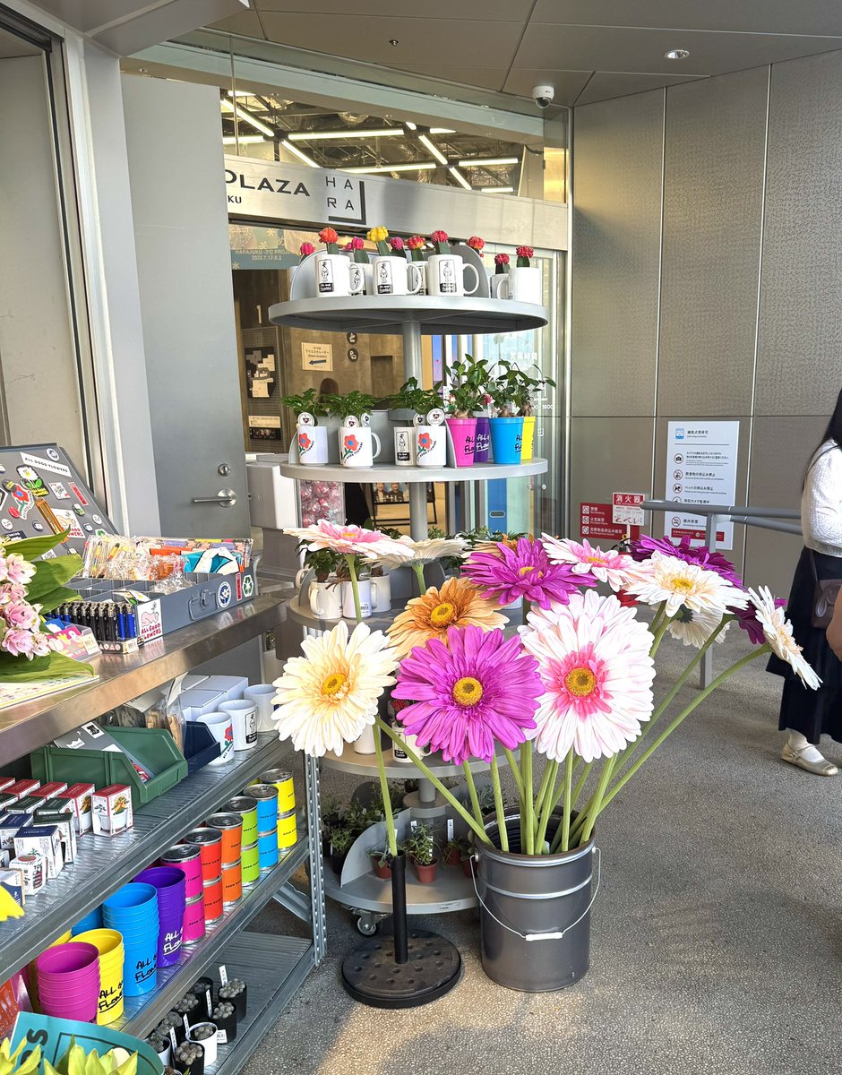 表参道ぷらっと歩いてたら、でっっっかいお花たちに遭遇🌻💗造花なのにリアルでめちゃかわでテンション爆上がり🫶🏻
お部屋とかイベントのデコにも絶対映えるやつ〜！