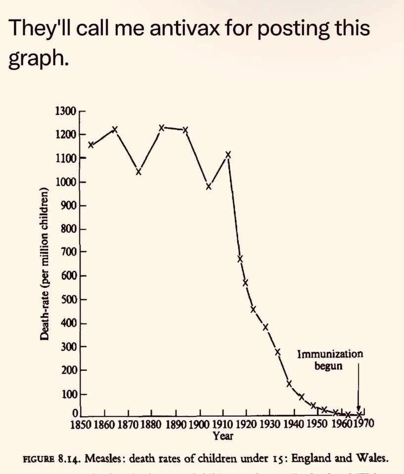 Sal the Agorist (@sallymayweather) on Twitter photo 