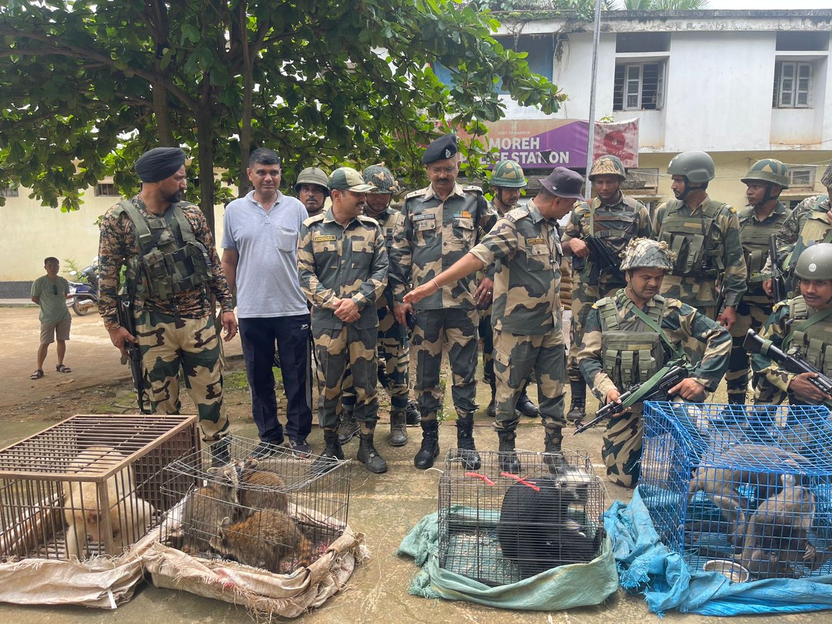 BSF_MizoramCach's tweet photo. On 21 July 2025, vigilant troops of Adhoc M&amp;C-13 Bn #BSF under Adhoc Sector BSF Manipur intercepted an Eeco Van at Moreh carrying 07 exotic wild animals concealed in cages. 02 smugglers were apprehended. The animals were later handed over to Manipur Forest Dept for further action https://t.co/jjYreZAfPn