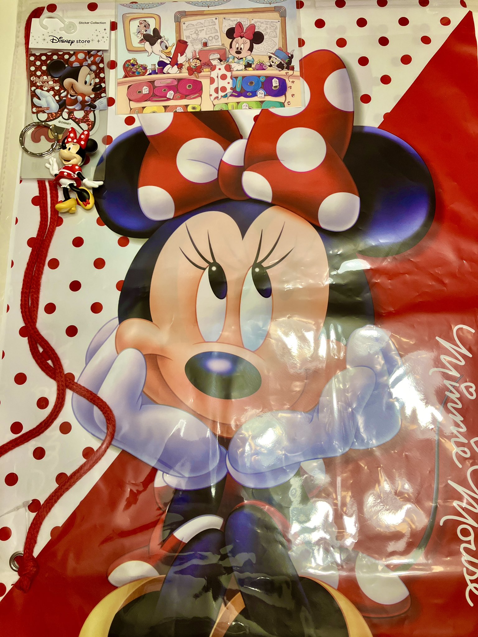 ミニーちゃんページ ?media_id=2861157058160314407