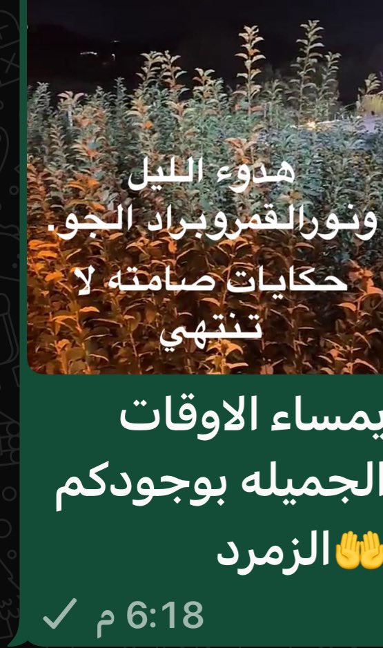 الزمرد tweet media
