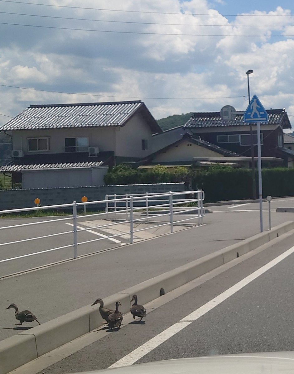 びっくり
(´・ω・｀)