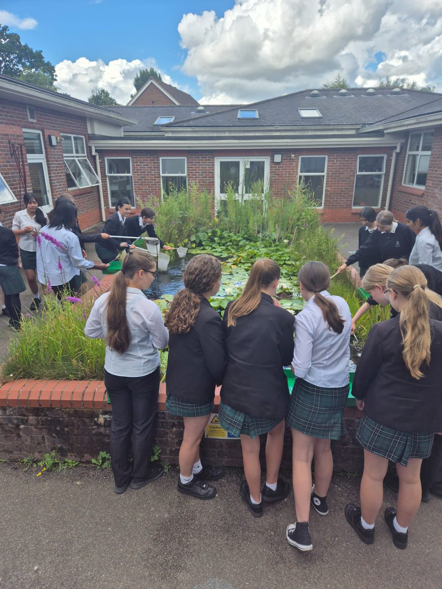 What is living in our pond? #MillaisYear9 did some pond dipping to find out! #MillaisScience #MillaisCollaboration