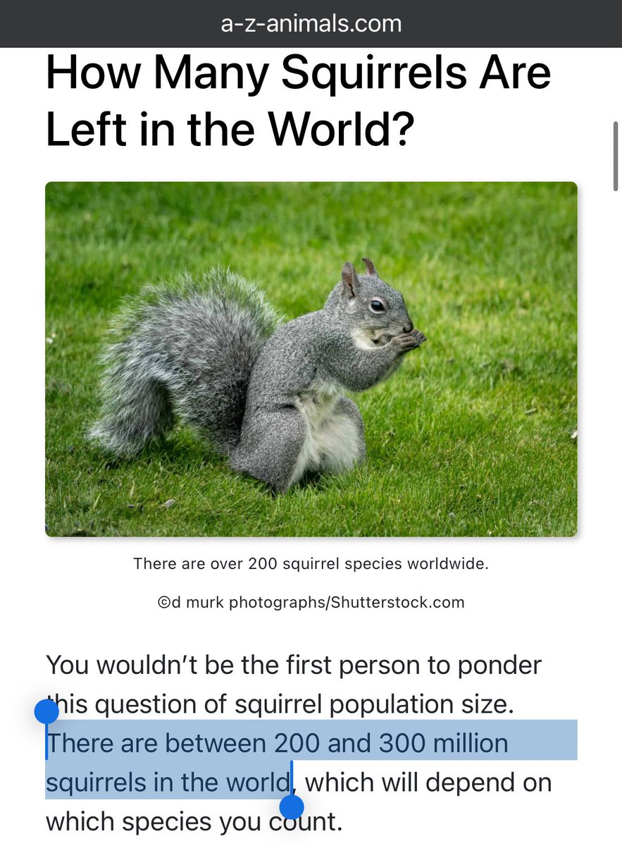 JILexander's tweet image. “Zack Snyder’s Superman never saved any squirrels.”
Technically, he saved 300M of them, 3 times.