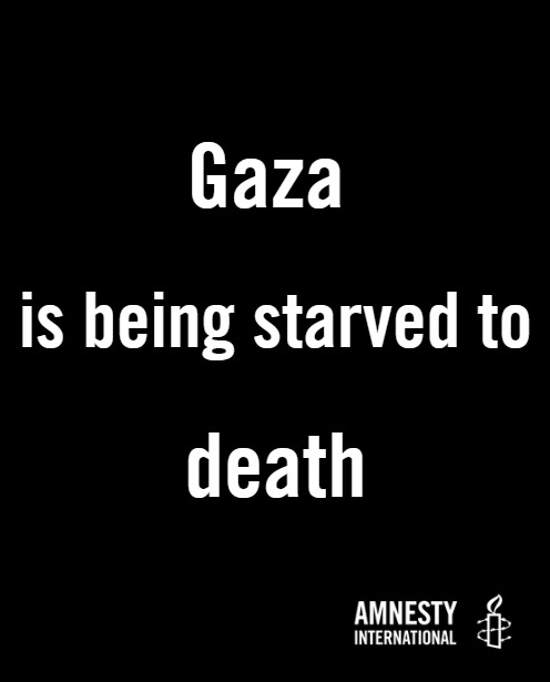 AmnestyIreland's tweet image. “Engineered starvation has become a spectator sport. We are watching Gaza die. Europe has blood on its hands. We need ACTION against the State of Israel’s genocide NOW.” Stephen Bowen, Director, Amnesty Ireland