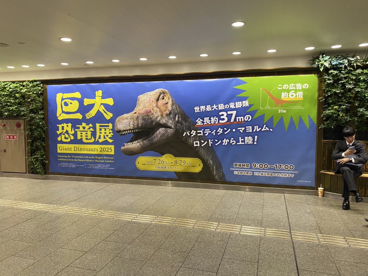 giantdinos_ex's tweet image. 【🦕大阪展情報🦖】
いよいよ今週開幕!
梅田に大型広告出現❗️
この広告の約6倍の大きさなので、パタゴティタン・マヨルムがどれだけ大きいかを感じてもらえると思います👀
#巨大恐竜展2025
