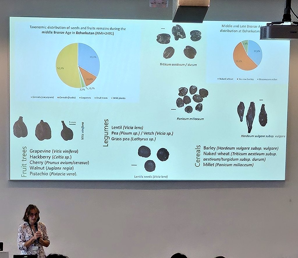 DrJenniferBates's tweet image. Back from coffee and shifting to the #plant management session. Grapes, olives, wetlands and arable farming are all on the books as well as #archaeobotany, #isotopes, #archaeogenetics, #phytoliths, #charcoal.
#IWGP2025 #archaeology #archaeologicalscience