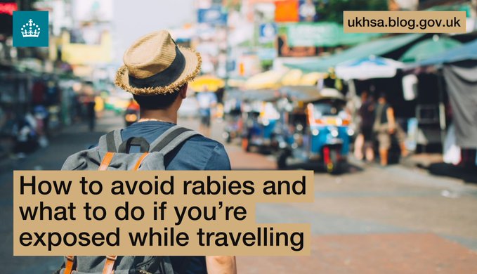 Anyone in the #WestMidlands travelling to a country with #Rabies?

It’s important to know how to prevent infection and
 what to do if you’re exposed

Even small bites or scratches from infected animals can pose a risk🐾⚠️

Read our blog for more info👇
bit.ly/TravelHealthAv…