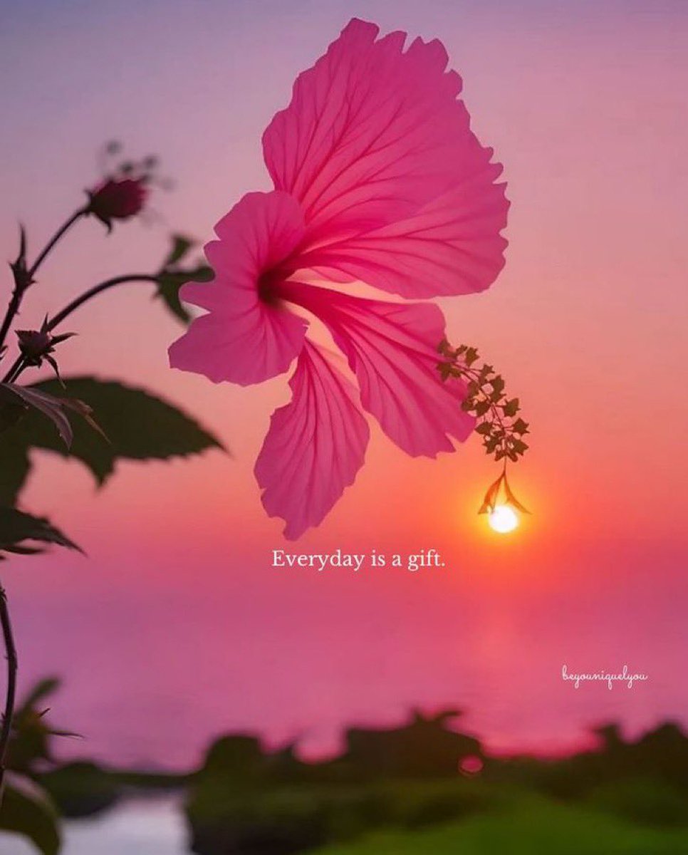 gratefuledu64's tweet image. May we not take our lives for granted!🥰
#gratitude #gift #daily #unique