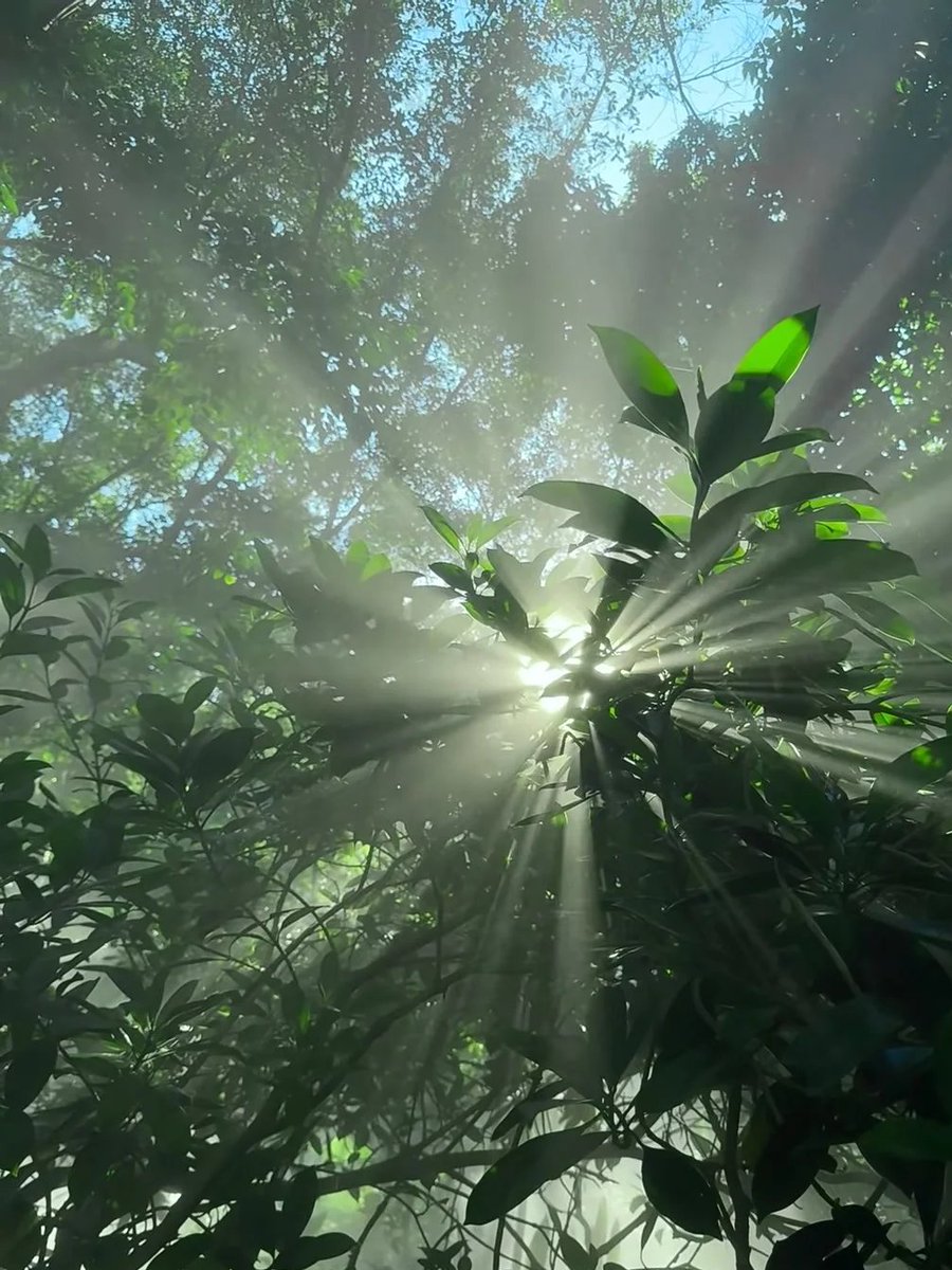 努力は無駄にならない。必ず実を結ぶ時が来る。