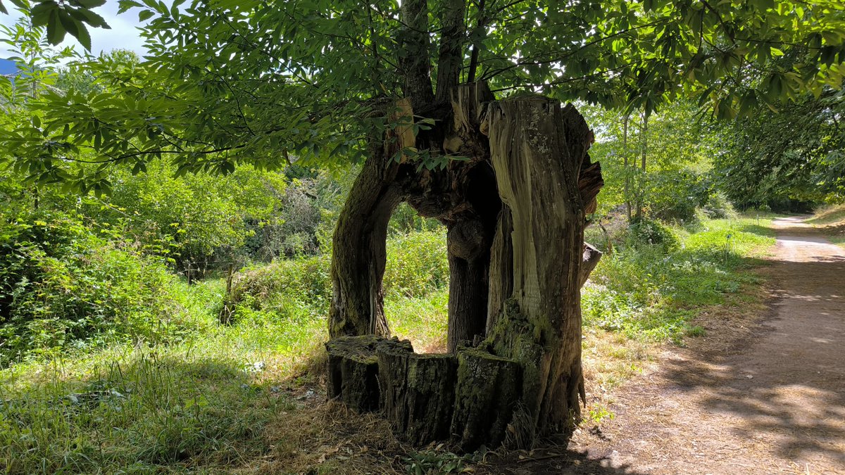 Buenos días!
Pereda de Ancares.