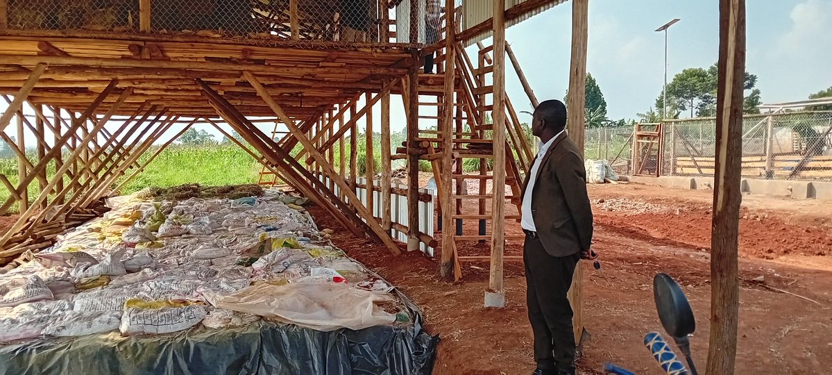 Mayorwalusimbi's tweet image. Today we welcome the Katikkiro of @BugandaKingdom_ Owek @cpmayiga at Hajji Umaru Ddumba Coffee Farm 🚜 Estate and Mr Sseguyas Agromixed and Livestock Farm in Nakifuma-Naggalama Town Council.
Tukwaniliiza nyo Owekitiibwa mu @Essaza_Kyaggwe
#MukonoDistrict