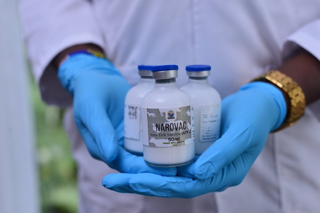 GCIC AGRICULTURE,ANIMAL HUSBANDRY AND FISHERIES. (@gcicagriculture) on Twitter photo The NARO anti‑tick vaccine, also known as NAROVAC or NARO‑Vac, is Uganda’s first-ever livestock vaccine developed to control tick infestations and associated tick-borne diseases like East Coast fever, babesiosis, anaplasmosis, and heart water. <a href="/narouganda/">NARO Uganda</a> <a href="/MAAIF_Uganda/">MAAIF 🇺🇬</a> <a href="/GovUganda/">Government of Uganda</a> The NARO anti‑tick vaccine, also known as NAROVAC or NARO‑Vac, is Uganda’s first-ever livestock vaccine developed to control tick infestations and associated tick-borne diseases like East Coast fever, babesiosis, anaplasmosis, and heart water. <a href="/narouganda/">NARO Uganda</a> <a href="/MAAIF_Uganda/">MAAIF 🇺🇬</a> <a href="/GovUganda/">Government of Uganda</a>