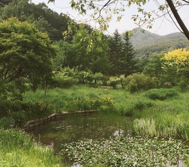 emctweep's tweet image. Natural ponds. Trees. Waters. Mountains.