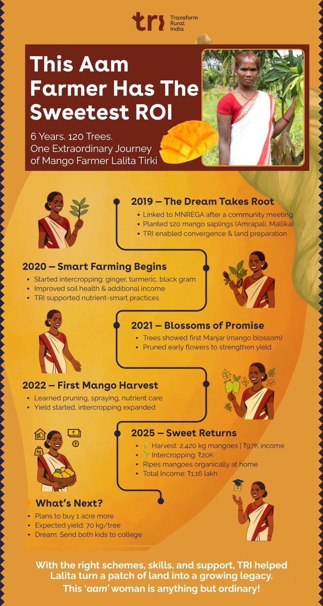 TRIFoundation's tweet image. Most public schemes offer access. Very few offer alignment.
🥭 Lalita Tirki, a mango farmer from rural #Jharkhand, planted 120 mango saplings in 2019 through #MNREGA support. Over the next 6 years, she followed a careful process of intercropping, soil improvement, pruning, and…