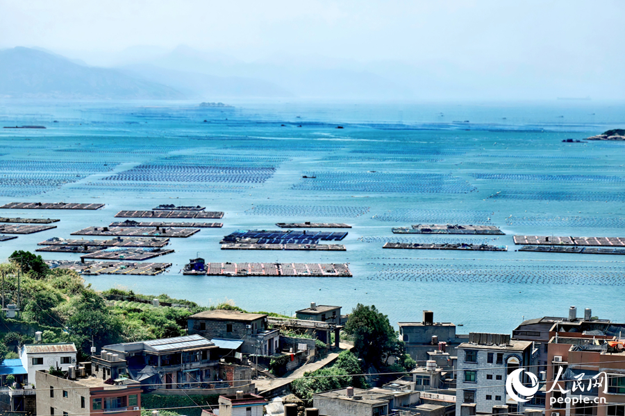VoiceofPD's tweet image. Abalone industry thrives in Lianjiang county, SE China's Fujian

Tailu village in Tailu town is nestled in the heart of the #abalone cultivation zone of Lianjiang county, Fuzhou city, southeast #China's #Fujian Province.

Ranking as China's second-largest aquatic county,