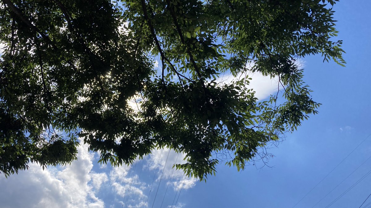 今日は晴れてるねぇ〜ｗ