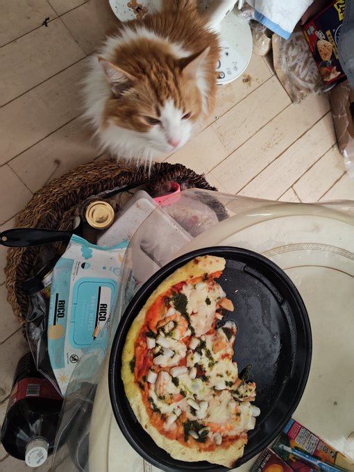 ニンゲン何食べてるの?包囲網 