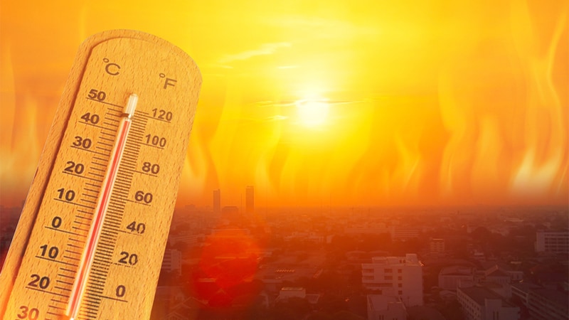 MedscapeES's tweet image. Las emergencias por calor constituyen un problema de salud pública puesto que afectan a la población mundial y exigen precisión. ¿Cuánto sabe sobre este tema? Evalúe sus conocimientos con nuestro Mini-examen clínico.
ms.spr.ly/6010sDXii