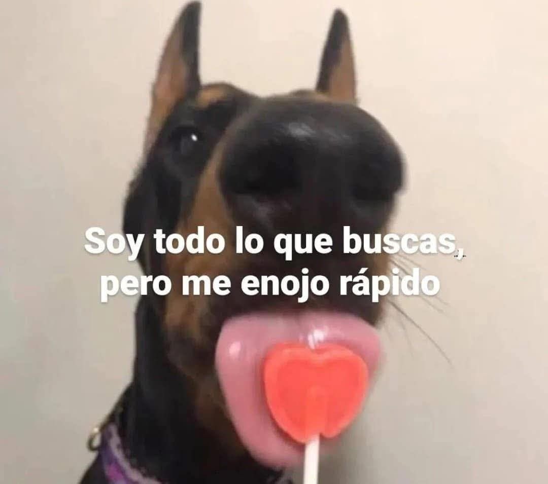 J u p i t e r.☄️ (@_jupiter_x_) on Twitter photo 