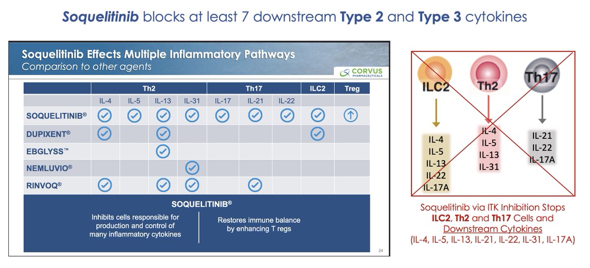 HOThomasWPhelps's tweet photo. Reasons $CRVS novel oral #ITK inhibitor #soquelitinib may work better than #Dupixent in #atopicdermatitis.
1. ⬇️ #Th2+#ILC2 cells AND ⬇️ #Th17
2. Reduces more cytokines in both Th2 + Th17 pathways #IL4 #IL5 #IL13 #IL31 #IL17 #IL21 #IL22, benefit across entire Th2/AtD <––> Th17/PSO spectrum
3. More cytokines = more patients benefit from more severe AtD to refractory dupi/biologic cases
4. ⬆️ T-reg cells
Over long-term, #Dupixent benefit in AtD may wane:
1. U-shaped response: #IL4 #IL5 #IL13 fall quicky, but then rise back or above original pre-treatment levels
2. Blocking Th2 IL-4Ra can lead to compensatory Type 3 inflammatory response increasing #Th17/#IL17 as seen in 4 of 10 patients, leading to #psoriasis #rosacea
https://t.co/vZLZjQjsob