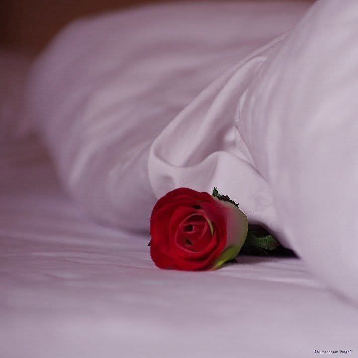 الإهتمام لا ينفع بطلب 
والاحترام لا ينفع بأمر 
والود لا ينفع برجاء 
فكلما كانت بتلقائية زادت قيمتها وأهميتها.

#صباح_آلخيــــر