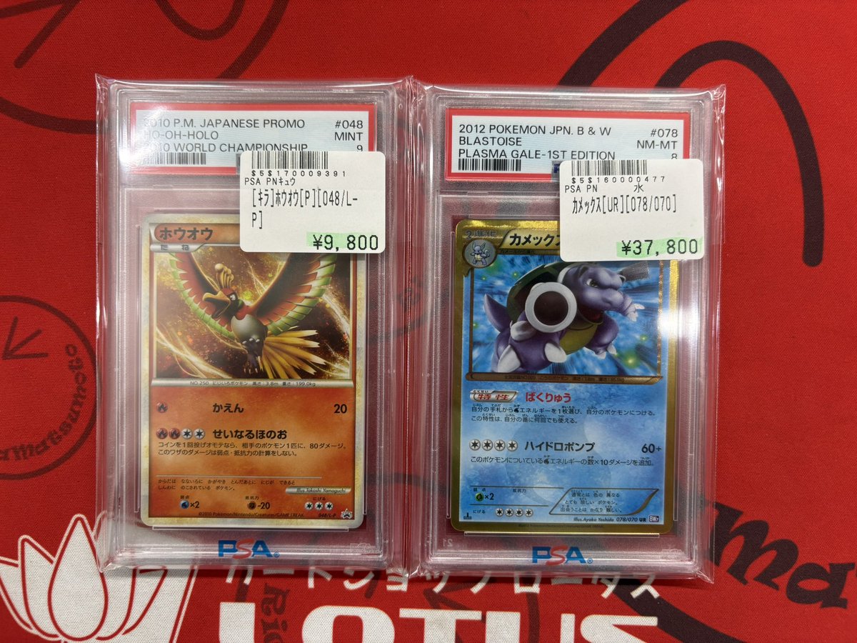 Lotus_Akiba's tweet photo. 【入荷情報🔥】
🟥 PSA9 ホウオウ
🔵 PSA8 カメックス
レジェンド級ポケモンたちがグレード付きで登場✨
状態もそれぞれしっかりPSA鑑定済💎📝
📍展示中:ロータス秋葉原
💰現金払いのみです
#ポケカ #ホウオウ #カメックス #PSA鑑定 #PSA9 #PSA8 #ロータス秋葉原 https://t.co/MohIqKzHD1