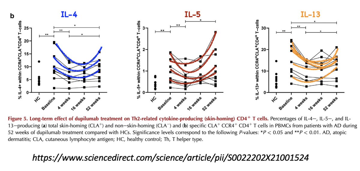HOThomasWPhelps's tweet photo. Reasons $CRVS novel oral #ITK inhibitor #soquelitinib may work better than #Dupixent in #atopicdermatitis.
1. ⬇️ #Th2+#ILC2 cells AND ⬇️ #Th17
2. Reduces more cytokines in both Th2 + Th17 pathways #IL4 #IL5 #IL13 #IL31 #IL17 #IL21 #IL22, benefit across entire Th2/AtD <––> Th17/PSO spectrum
3. More cytokines = more patients benefit from more severe AtD to refractory dupi/biologic cases
4. ⬆️ T-reg cells
Over long-term, #Dupixent benefit in AtD may wane:
1. U-shaped response: #IL4 #IL5 #IL13 fall quicky, but then rise back or above original pre-treatment levels
2. Blocking Th2 IL-4Ra can lead to compensatory Type 3 inflammatory response increasing #Th17/#IL17 as seen in 4 of 10 patients, leading to #psoriasis #rosacea
https://t.co/vZLZjQjsob