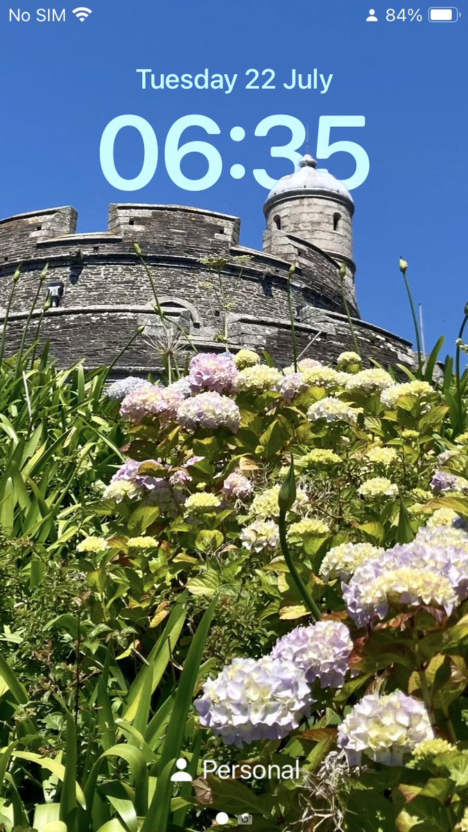 TulipHeather's tweet image. #DailyScreensaver
St Mawes Castle, Cornwall
June 2022