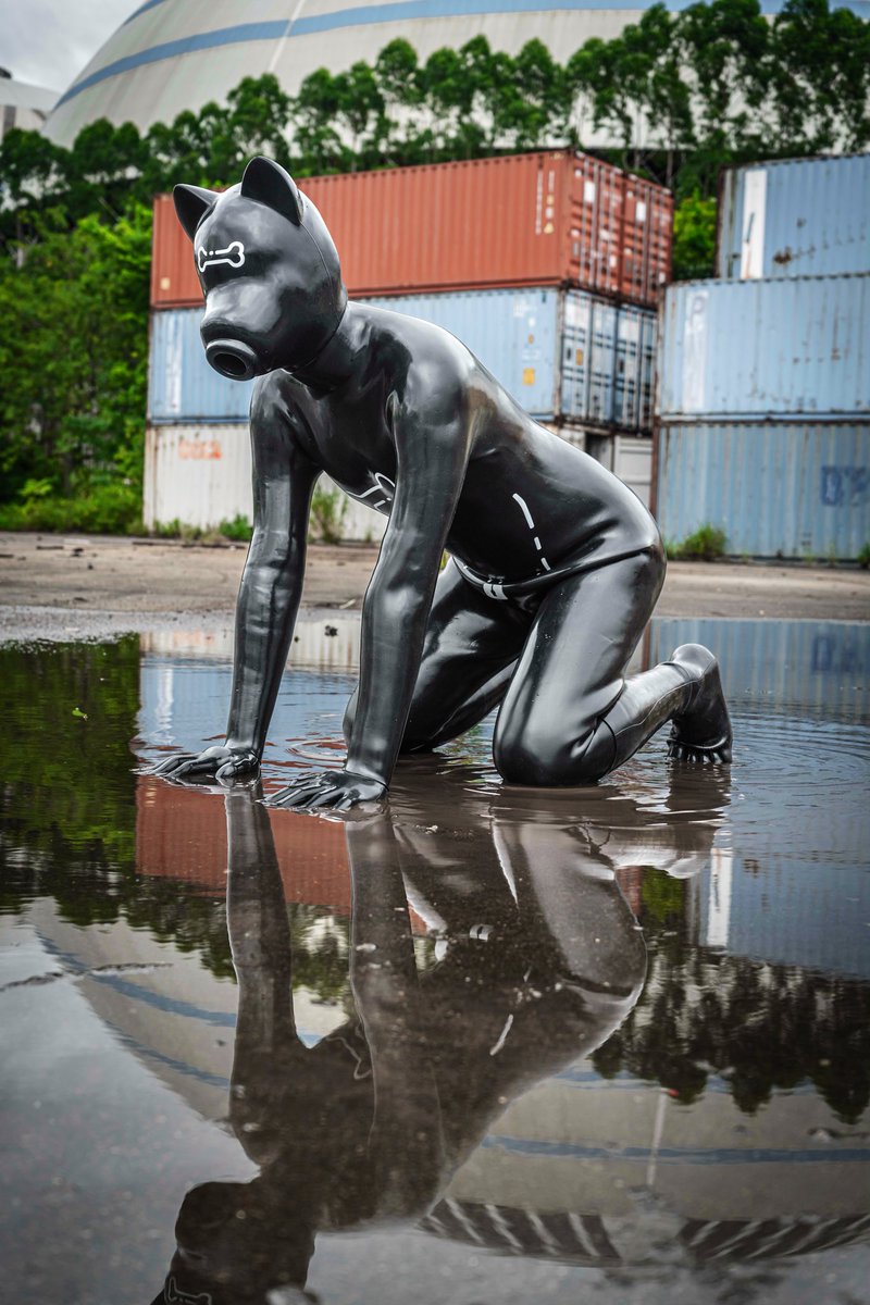 还是台风天适合外拍呢！
👔：<a href="/Smitizen/">SMITIZEN</a> 
🐶：<a href="/ZebraSpidey/">斑马Zebul</a> 

喜欢这身衣服的话这里有链接！⬇️

国内购买链接【淘宝】 e.tb.cn/h.hk88gWlqS8jD… CZ028 
国外购买链接smitizen.com/product/black-…