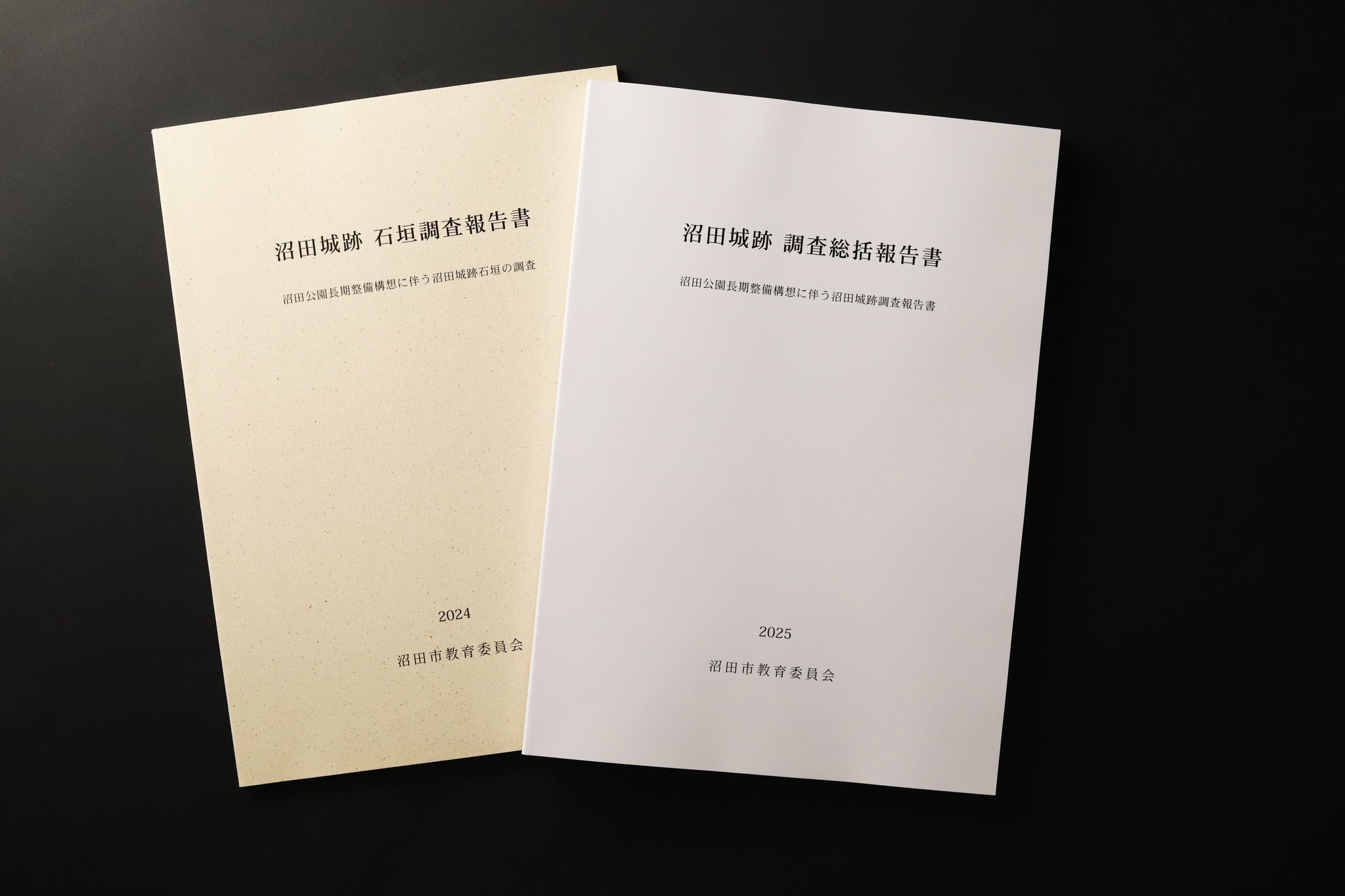上田家文書調査報告書 沼田市 on X: 