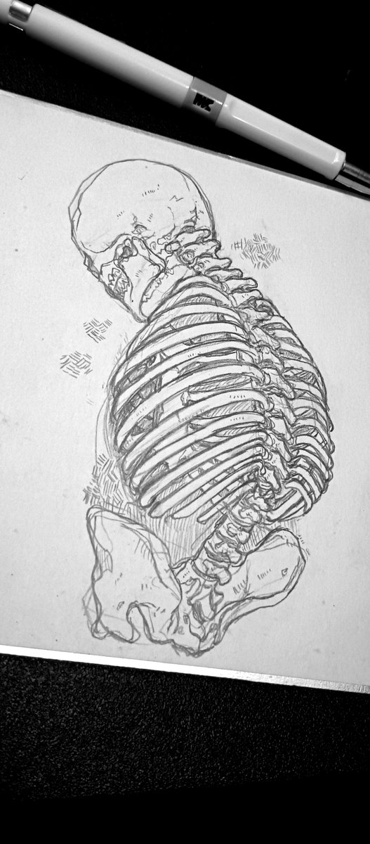 Gr_immi's tweet image. Not having a so good night so a little doodle session to myself. I find comfort in doodling skeletons, I don't know why.
#fraktyr #art