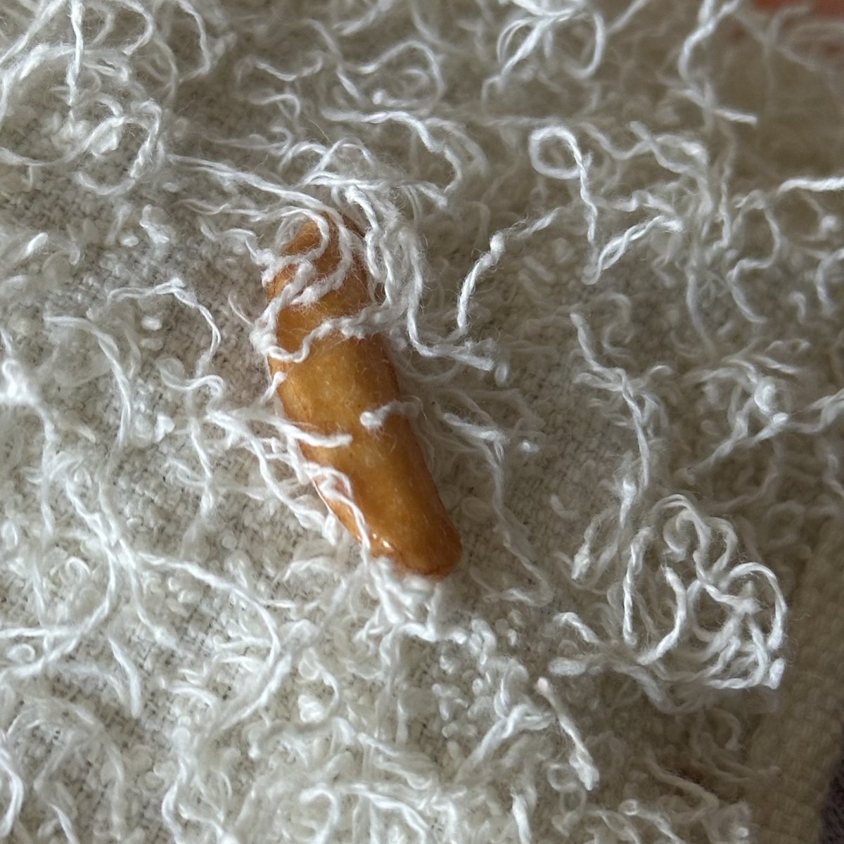 いつもモシャモシャしてるボロタオルの裏に柿ピー付いてて爆笑した