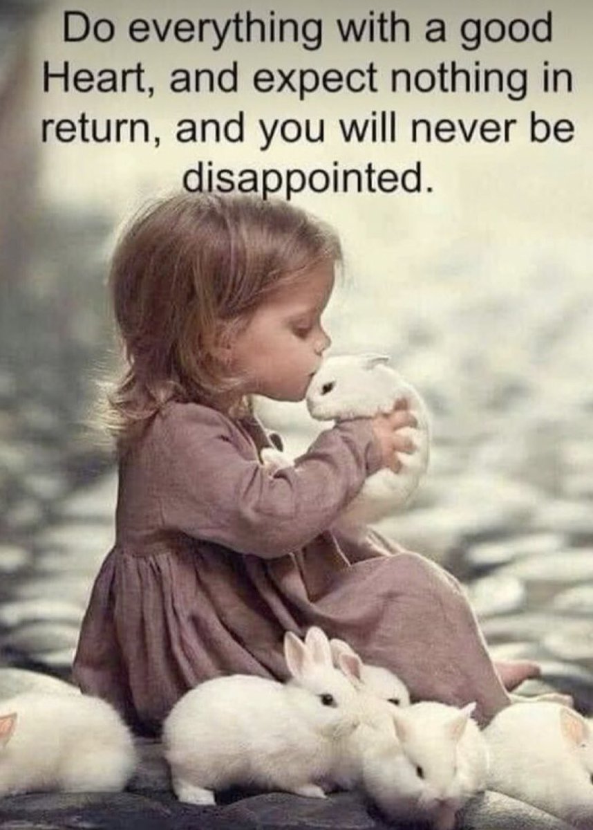 ColinSpenc4257's tweet image. Thought of The Day.