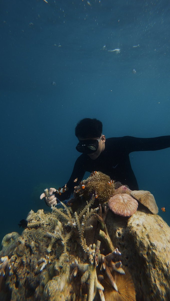 xcancerffy's tweet photo. seru banget snorkelingnya! https://t.co/cG04TLDqnD