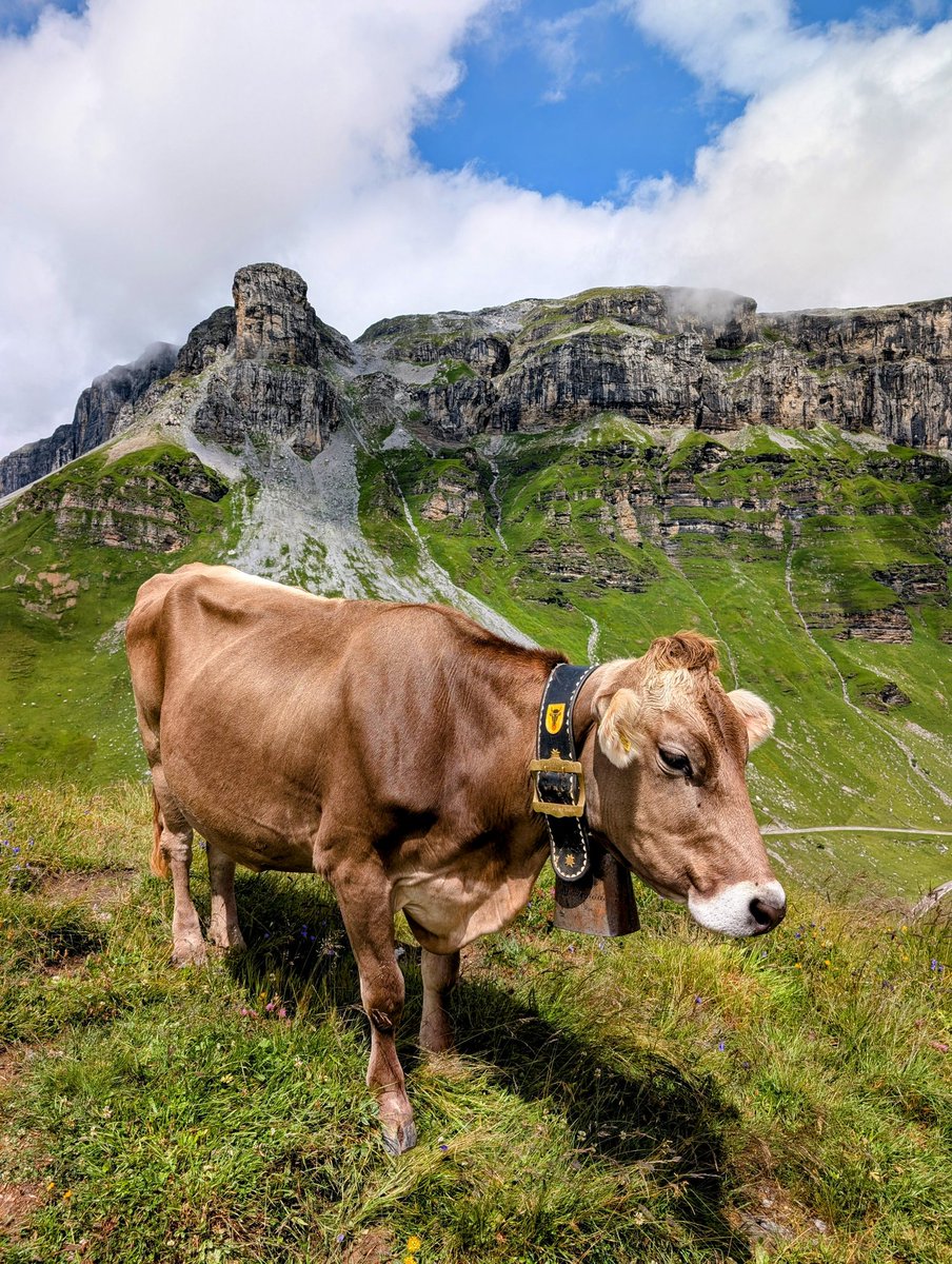 HikingSchweiz's tweet image. A walk to a glacial lake at 2,098m above the Klausenpass in Canton Uri, Switzerland 🇨🇭