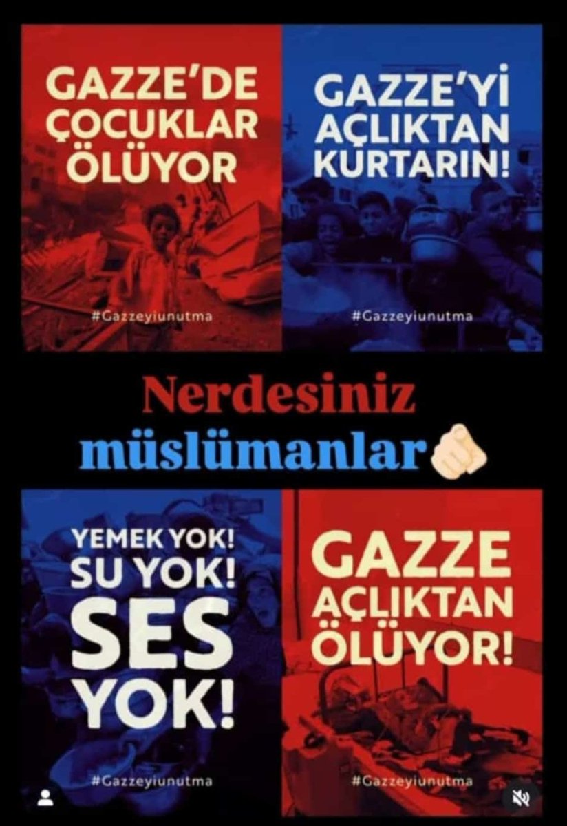 Herkes üzerine düşen ne varsa yapsın artık !
#GazzeÖlüyor