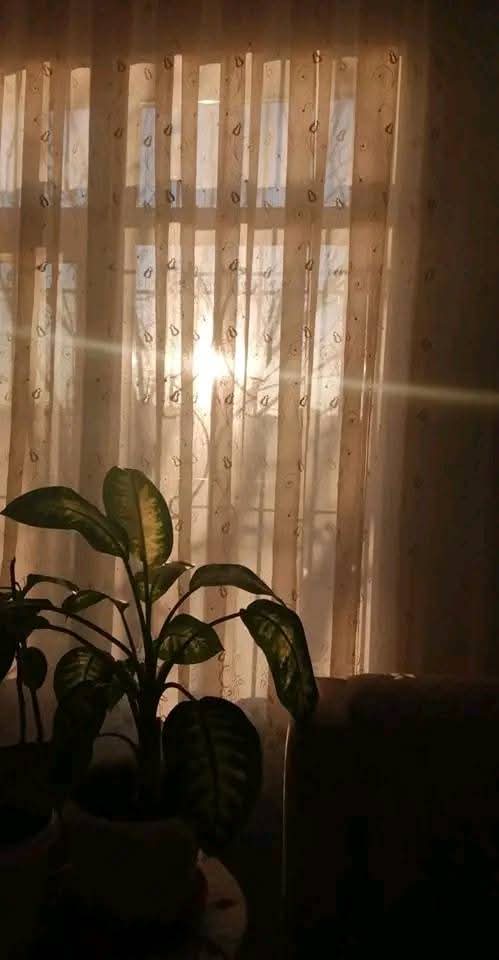 " وَ الصُّبحِ إذا تنفَّس "

اللهمّ اجعَله صباحاً تَتنفَّسُ فِيه أرواحُ أمنِياتنا وَ ما عندَك مِن نعِيم🌤

#صباح_الخيرツ