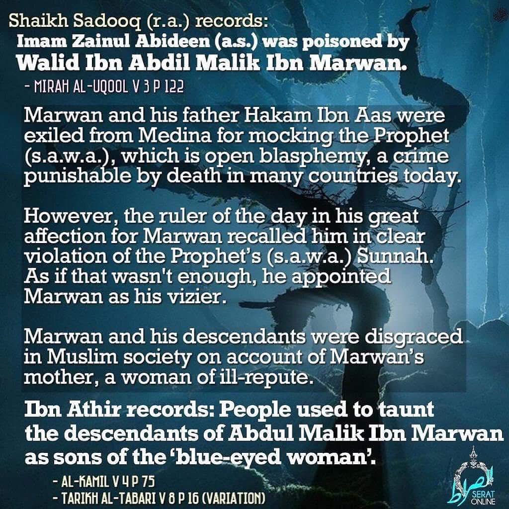 👉🏻Shaikh Sadooq (r.a.) records:

Imam Zainul Abideen (a.s.) was poisoned by Walid Ibn Abdil Malik Ibn Marwan😭

📓 • Mirah al-Uqool v 3 p 122

👉🏻 Marwan and his father Hakam Ibn Aas were exiled from Medina for mocking the Prophet (s)…..

📚⁃ Al-Kamil v 4 p 75

#SeratOnline