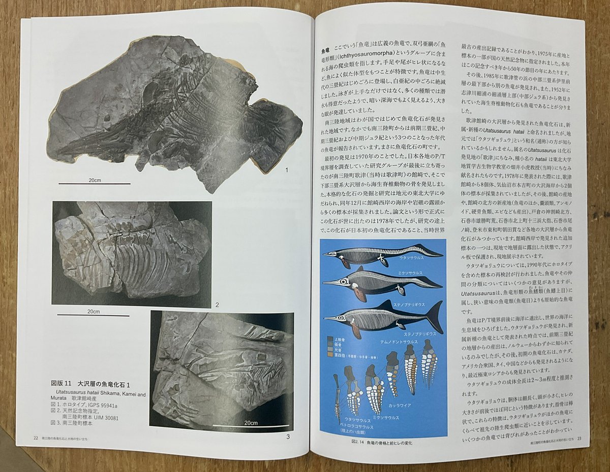 東北大学総合学術博物館 tweet media