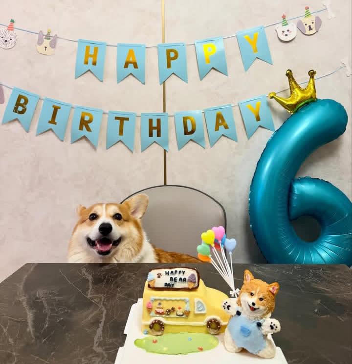 CorgiHugsClub's tweet image. Happy 6th Birthday!
Keep being happy, eating well, sleeping well, and having fun!