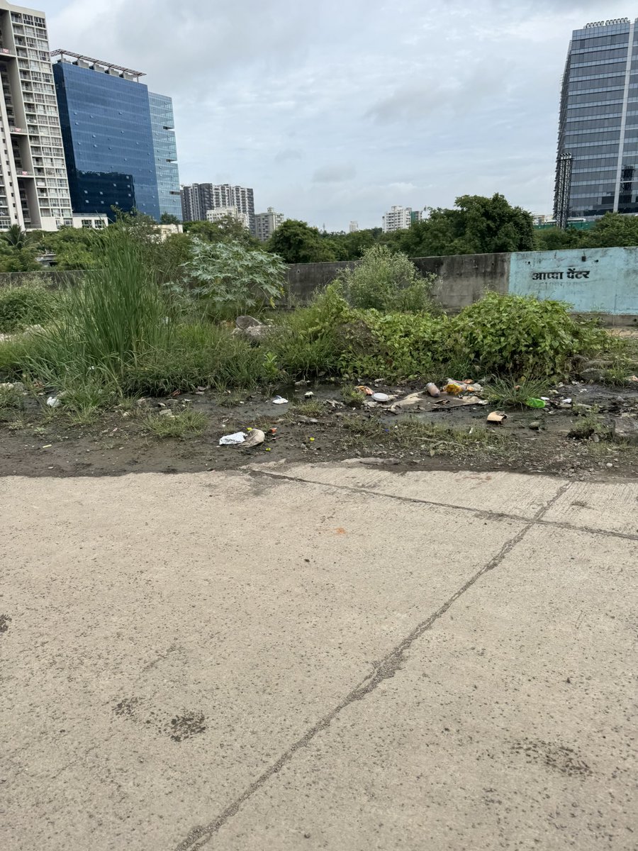 Kharadi Tax Payer Citizen (@indiansonthego) on Twitter photo <a href="/PMCPune/">PMC Care</a> Need cleaning at WTC CIRCLE BRIDGE connecting to Nirmala convent school in Kharadi. <a href="/aaplasurendra/">Surendra Pathare</a> #kharadicivic <a href="/KhswaPune/">KHSWA, Pune</a> <a href="/CleanKharadi/">Clean N Green Kharadi-Pune</a> <a href="/PMCPune/">PMC Care</a> Need cleaning at WTC CIRCLE BRIDGE connecting to Nirmala convent school in Kharadi. <a href="/aaplasurendra/">Surendra Pathare</a> #kharadicivic <a href="/KhswaPune/">KHSWA, Pune</a> <a href="/CleanKharadi/">Clean N Green Kharadi-Pune</a>