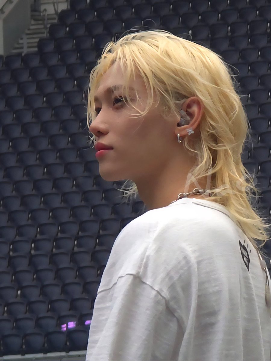 valrani_skz's tweet photo. if you search up fairy prince, he shows up https://t.co/0EqqunA5Nt