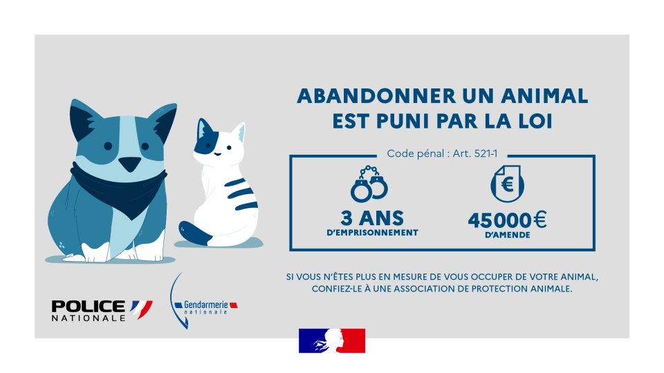 PoliceNationale's tweet image. #MardiConseil | Abandonner son animal est un acte de maltraitance et représente un délit passible de 3 ans de prison et 45 000 € d’amende. ❌ En France, des milliers d’animaux sont abandonnés chaque année. Témoin de maltraitance ? Signalez-la sur : ⤵️ masecurite.interieur.gouv.fr/fr/signaler-un…